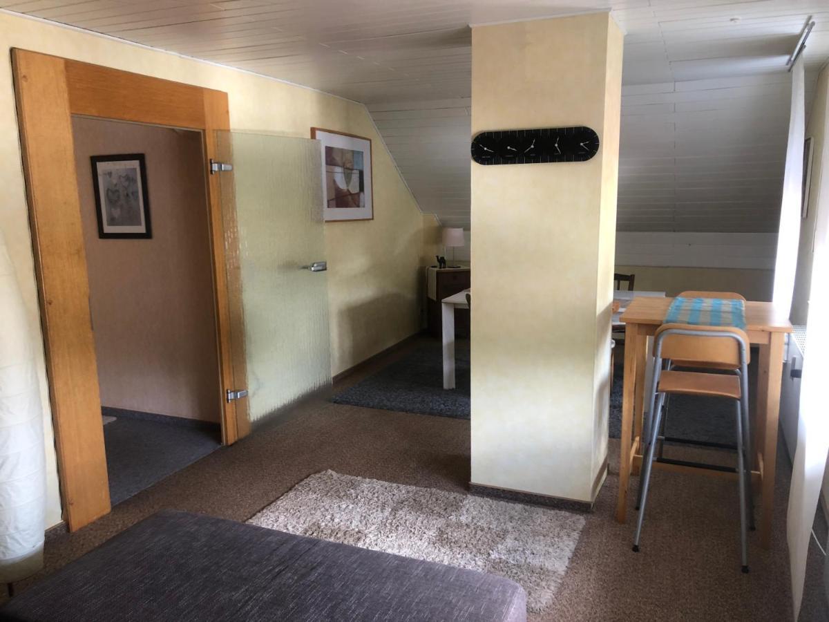 Ironico Homestay 4 Schlafzimmer Ferienwohnung 100 M2 Nahe Bostalsee Eisen  Exterior foto